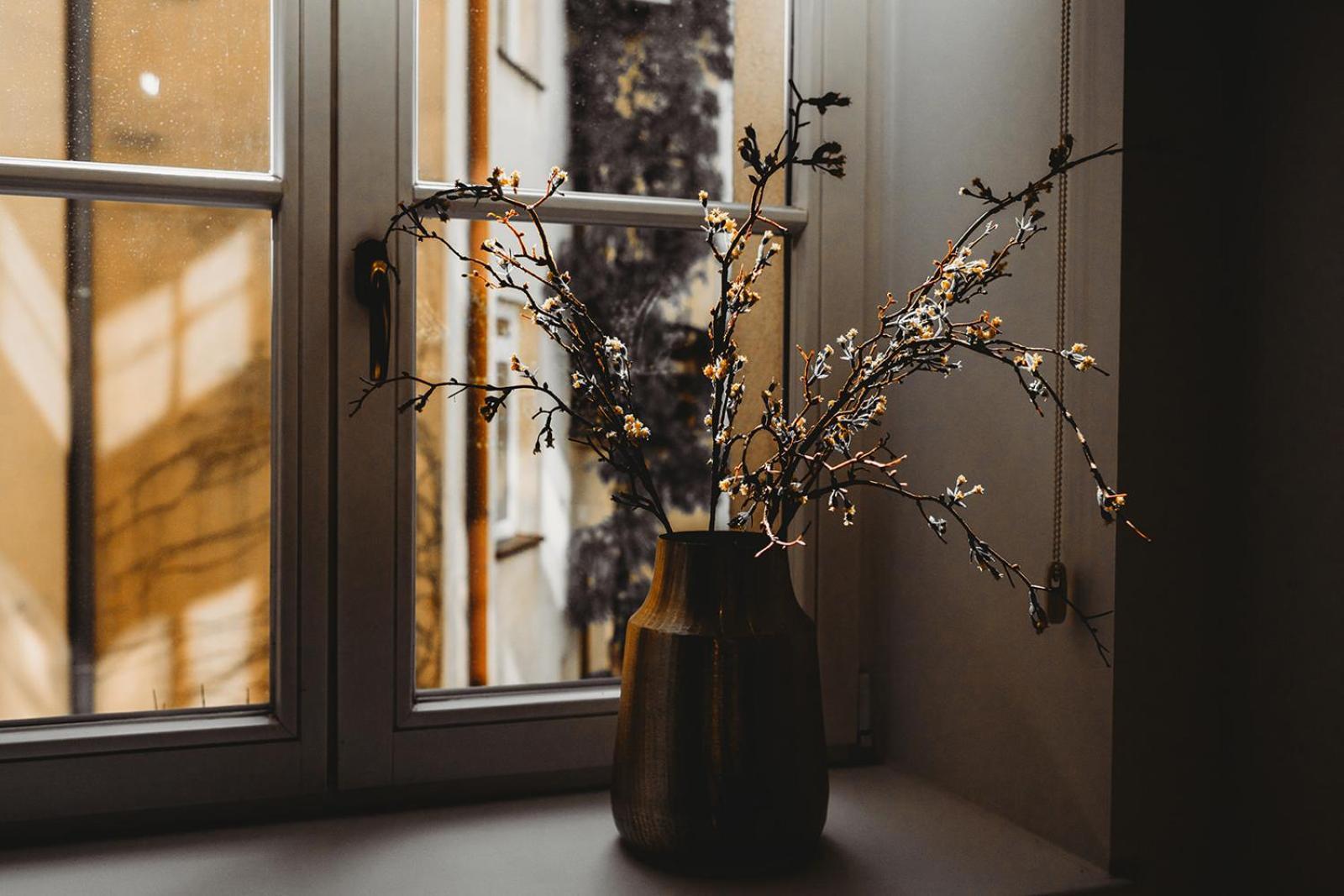 Antique Old Town Apartment