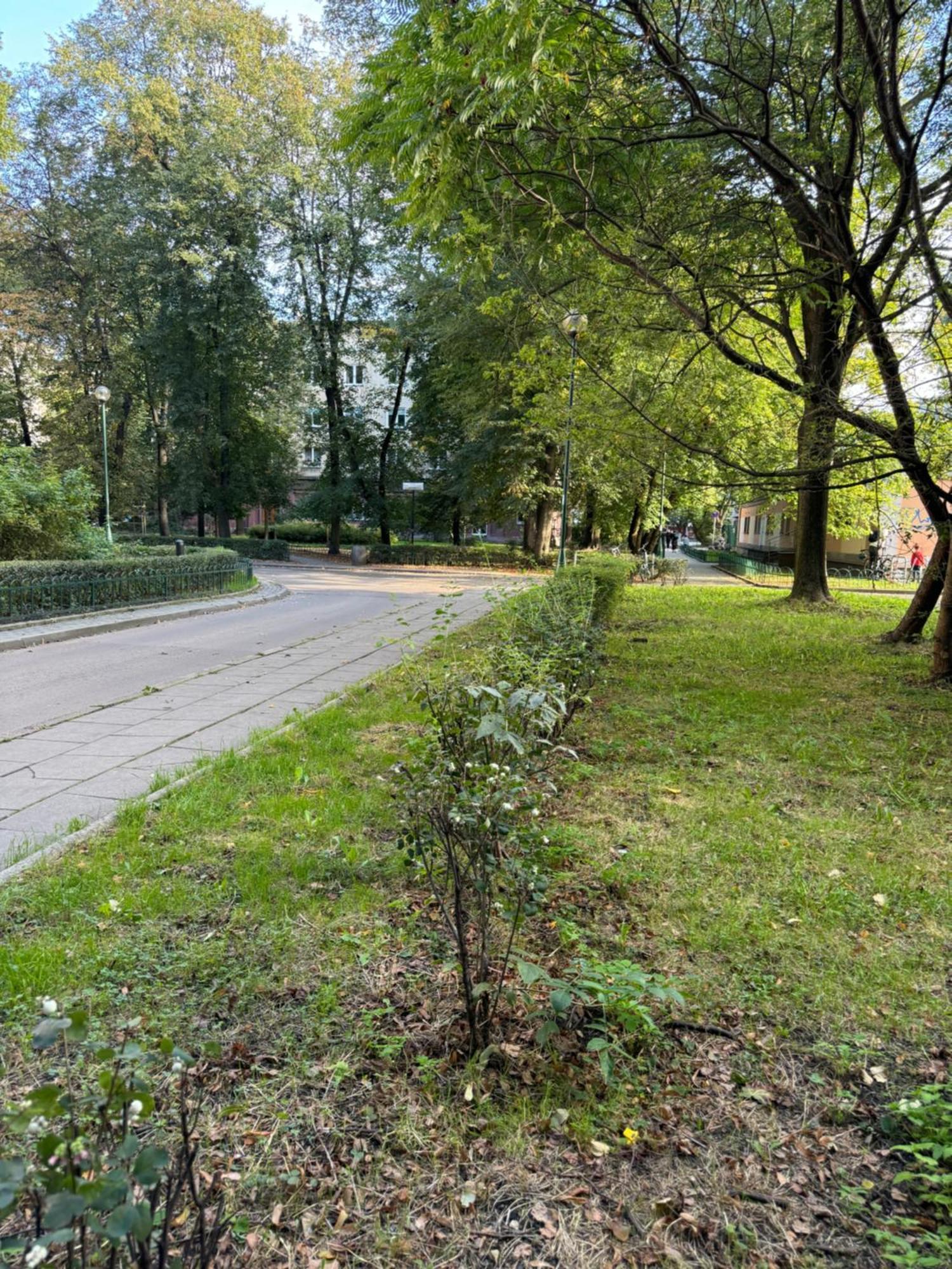 Juli Apartamento Cracóvia