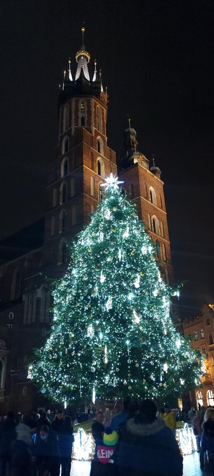 Dom Z Ogrodem W Krakowie Willa *