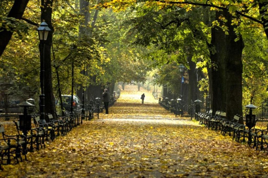 Apartment Romantic Free Parking *