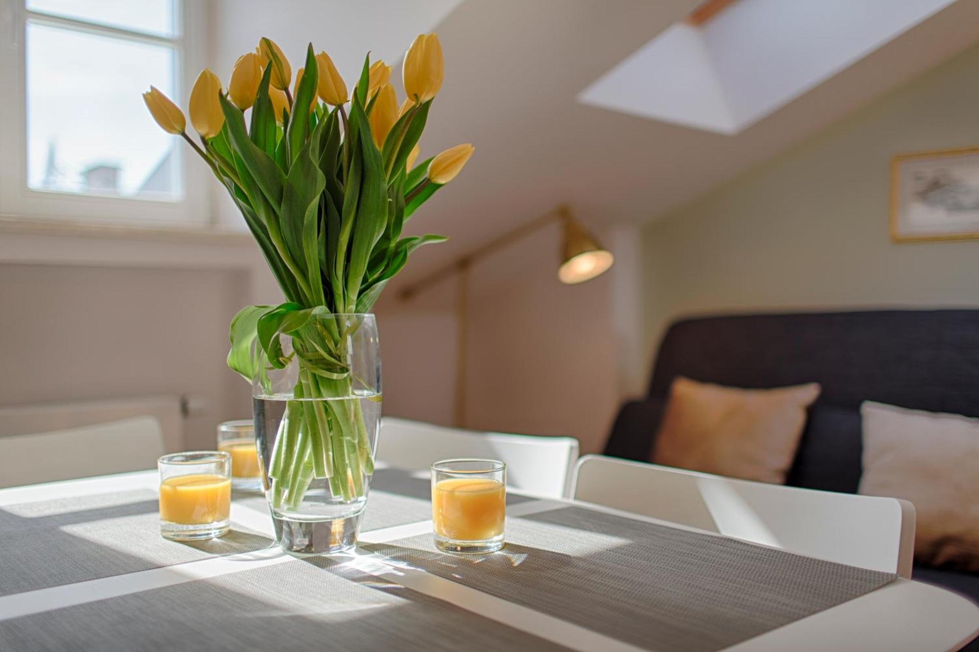 Tyzenhauz Dietla Street Apartment *