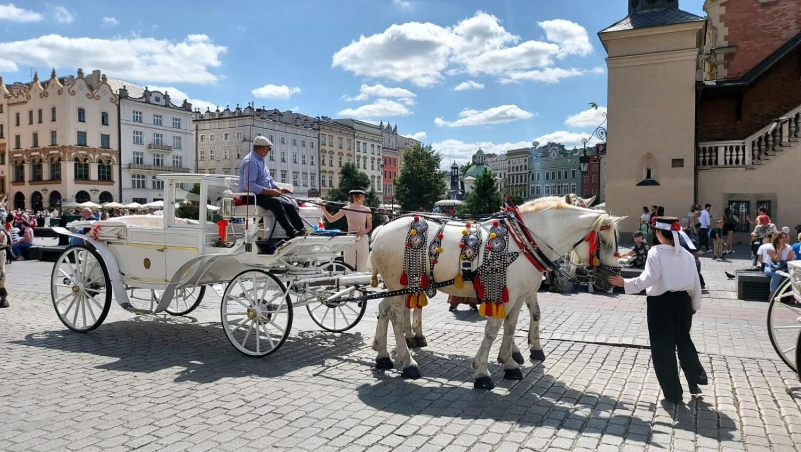 Dom Z Ogrodem W Krakowie Villa *