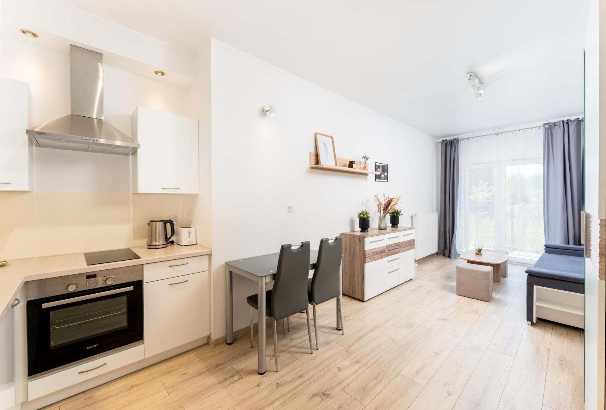 Apartment Debniki Pleasant