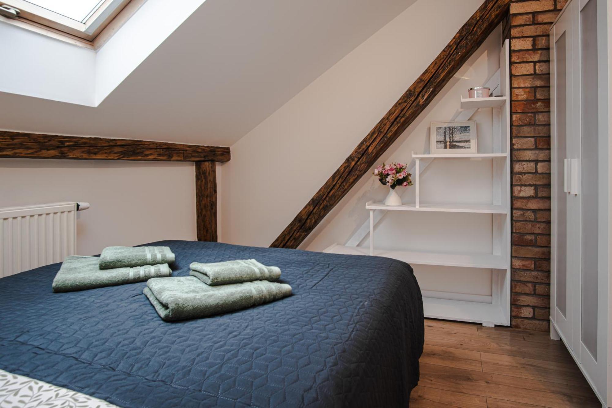 Apartament Borek Przy Modrej *