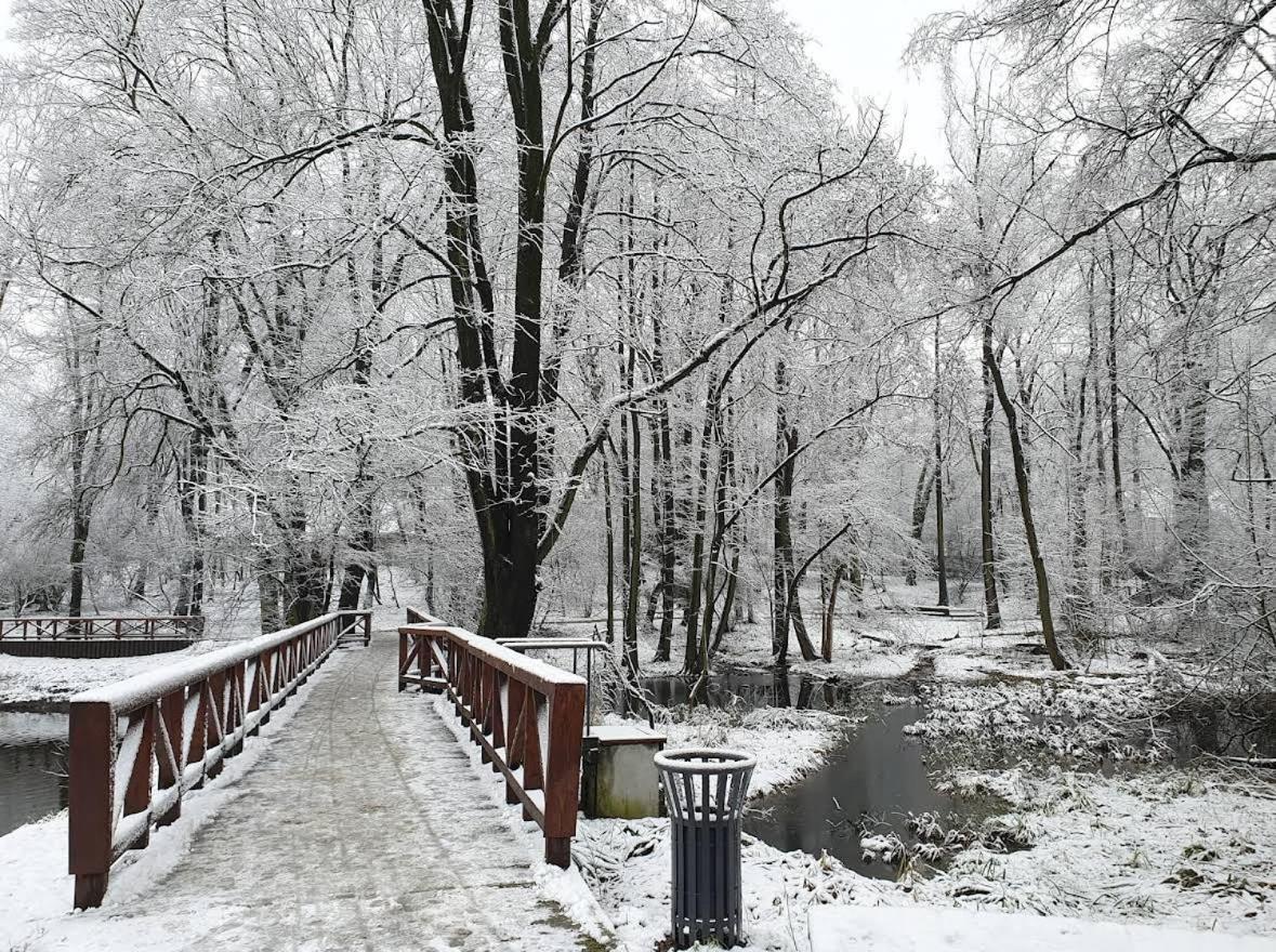 Nowoczesny Z Ogrodem * Kraków