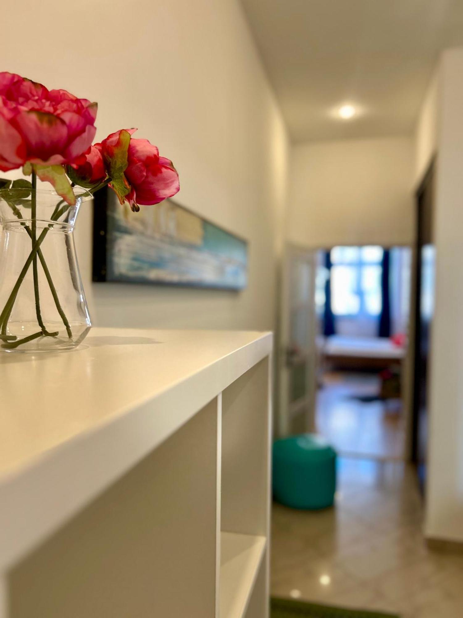 Apartment Vintage Senacka 9/7 *