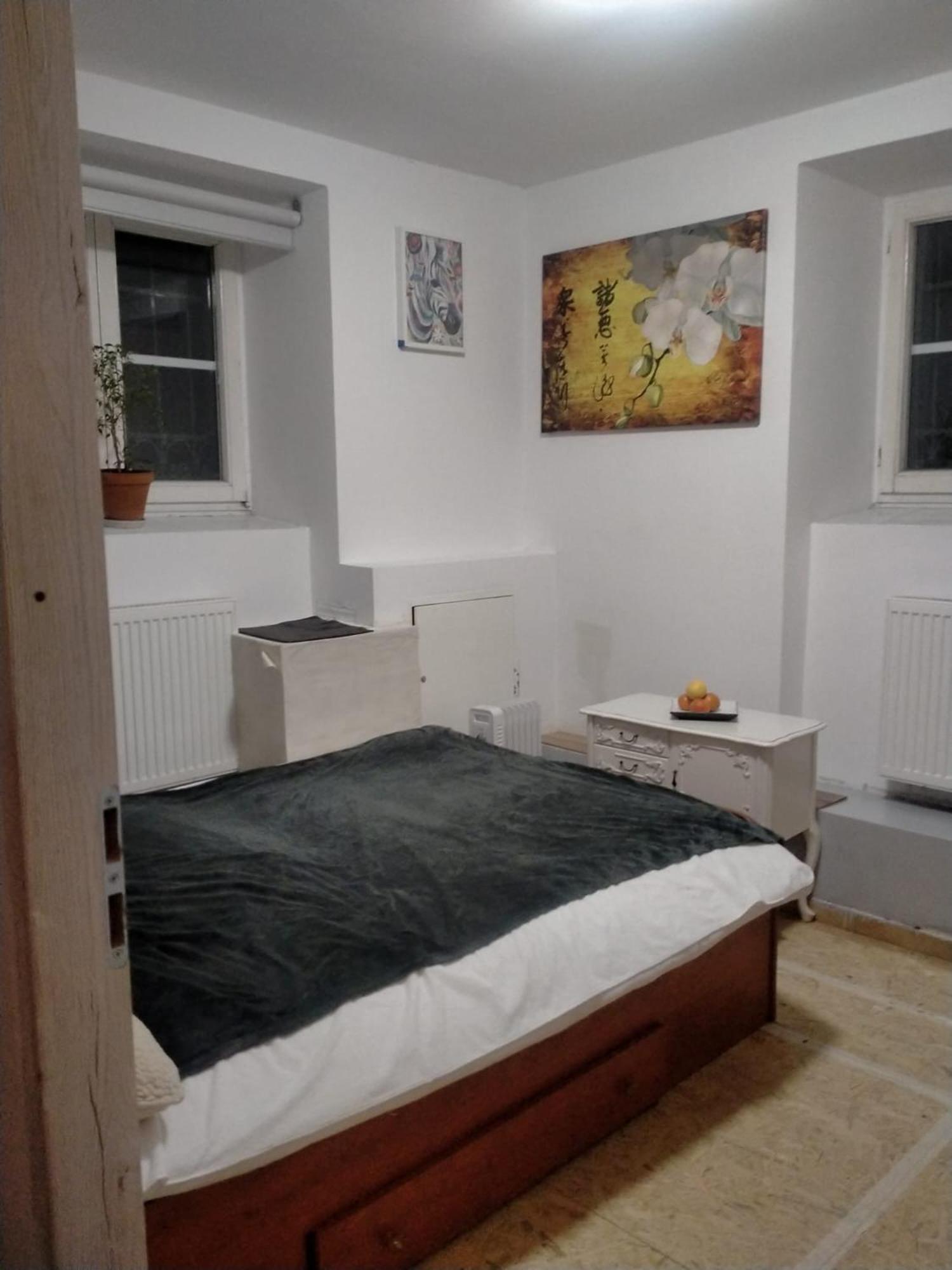 Hostel Lemon Tree Krakow