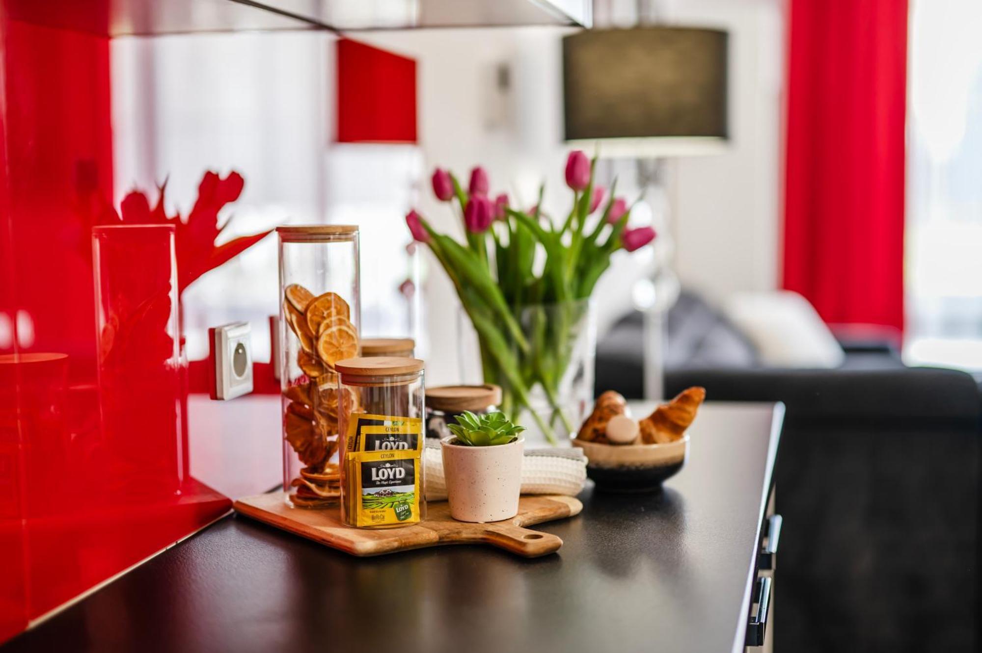 Rimini Moxy Te&am Cracow Kraków