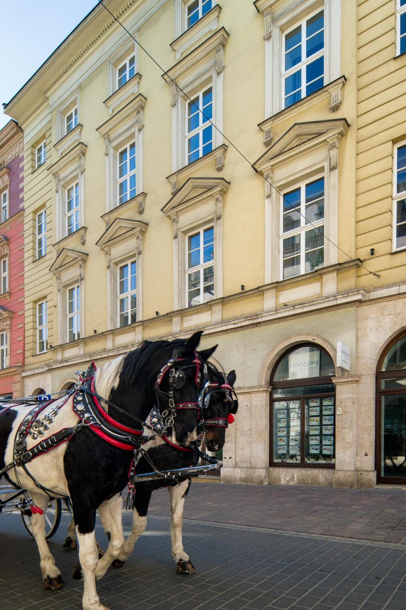 W Centrum - Duplex Penthouse In The Centre With Terrace And Air Conditioning Krakow