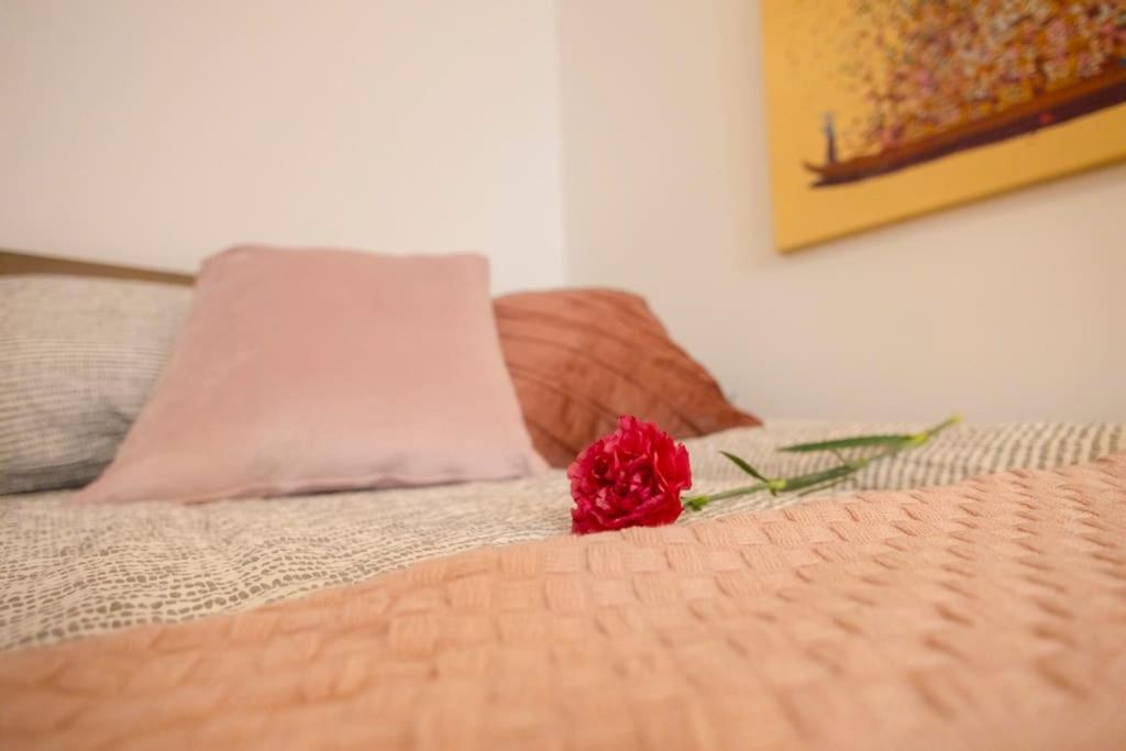 Arteon With Terrace Apartment Krakow