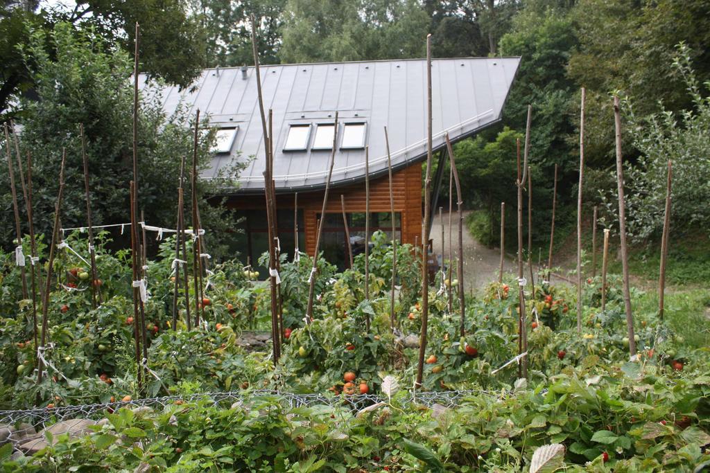 Gasthuis Ekosamotnia