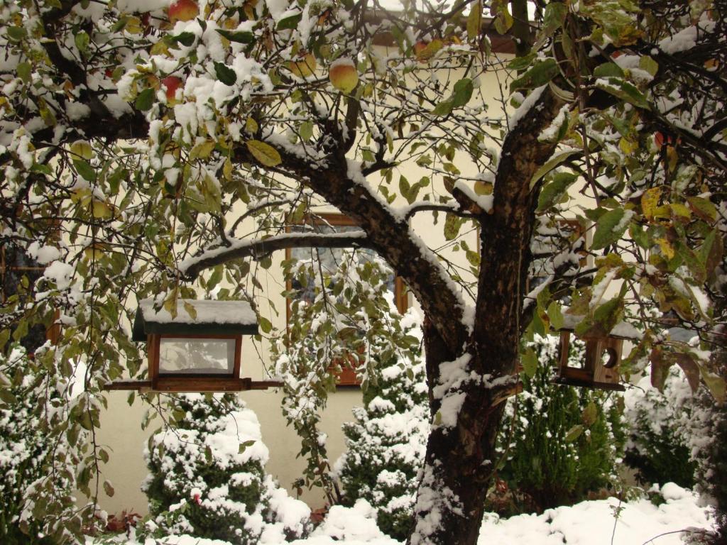 Nad Rudawą 3* Kraków