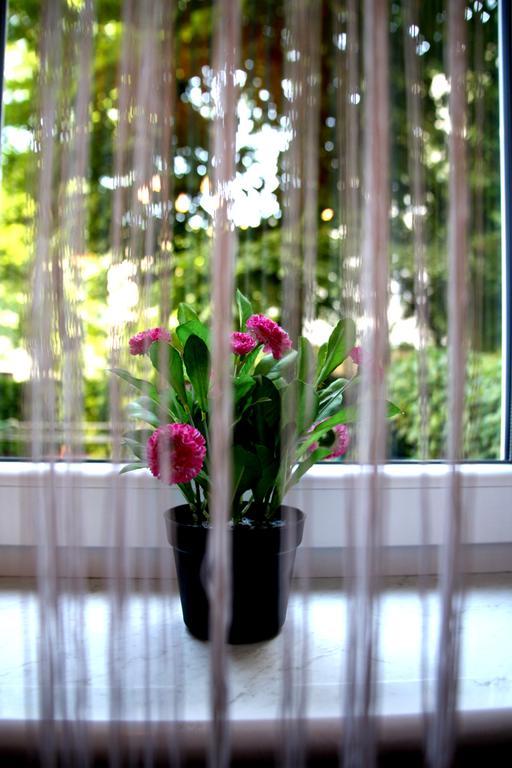 Apartment Astur