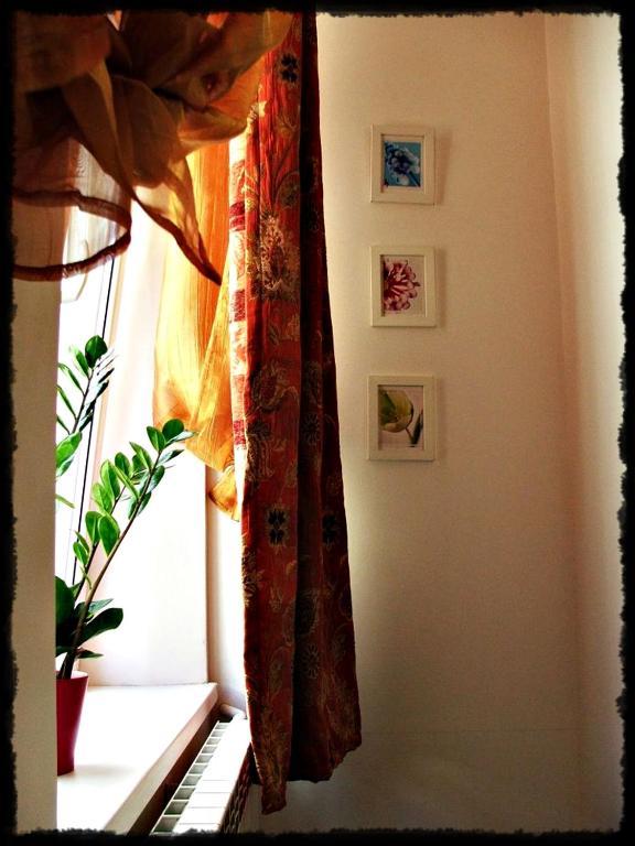 Apartment I Studia Herbarium Krakau