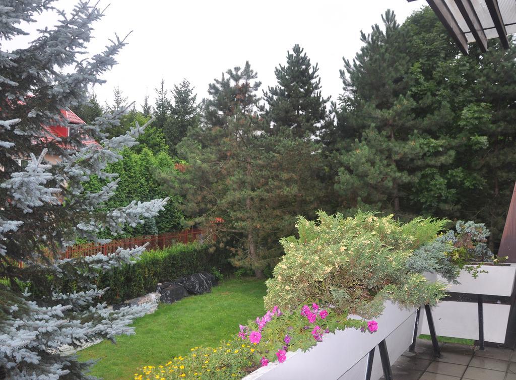 Homestay Goscinne Pod Sikornikiem *