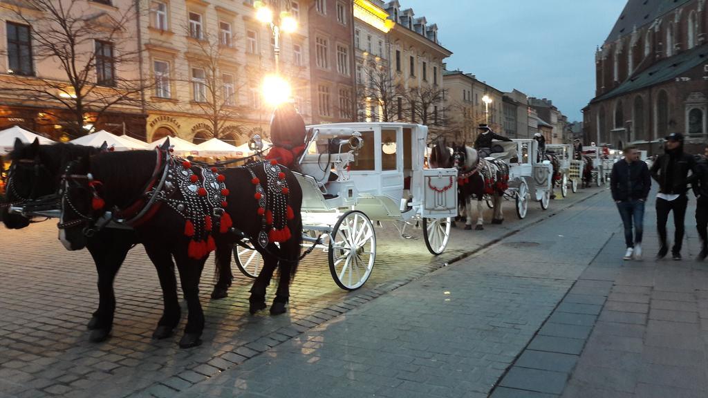 Apartament Feniks Stare Krakow