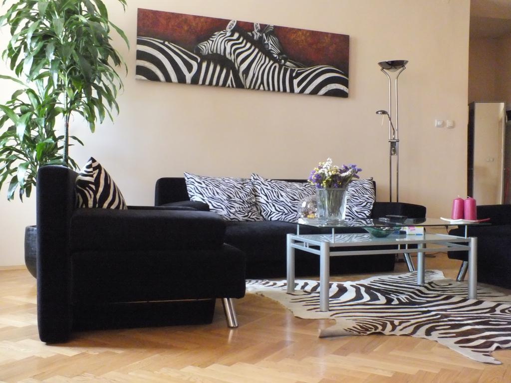 Zebra Krakau