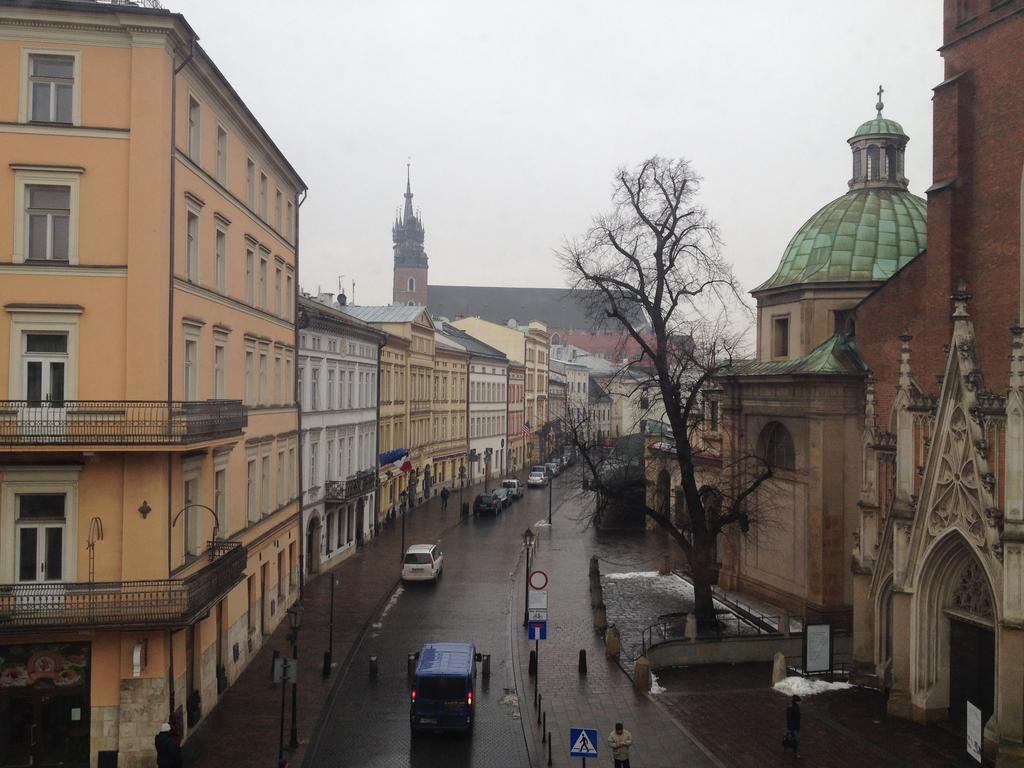 Domino Krakau