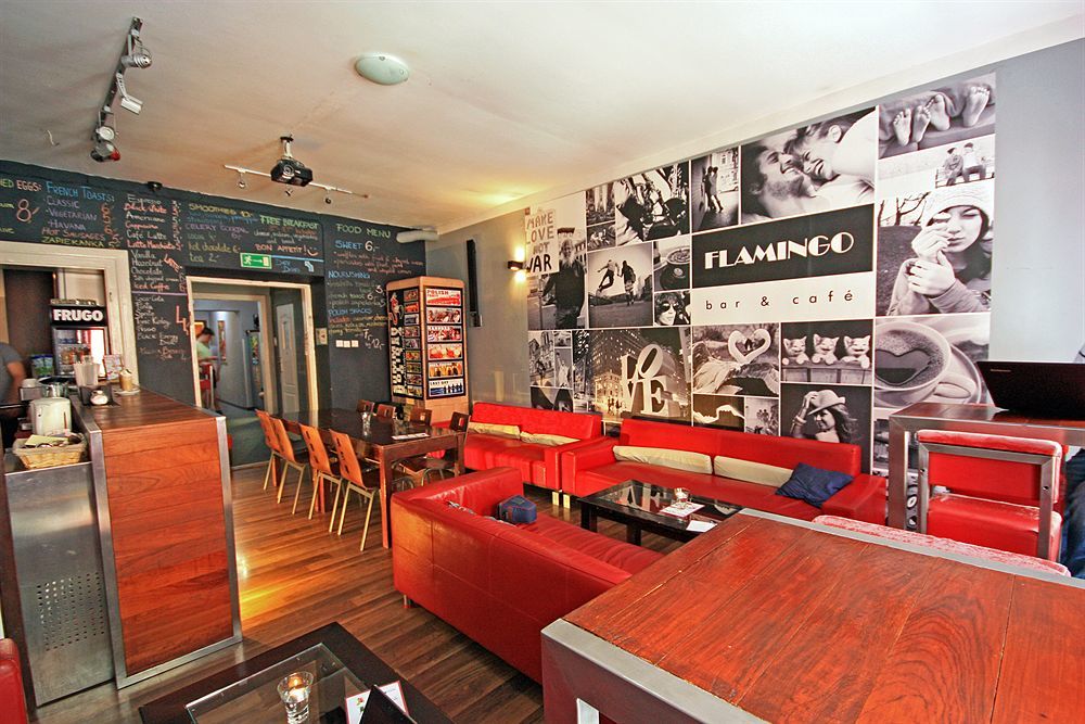 Flamingo Premium *