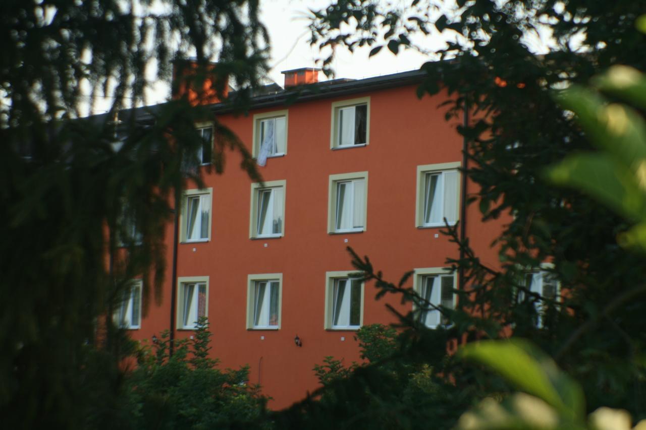 Daisy Budget Kraków