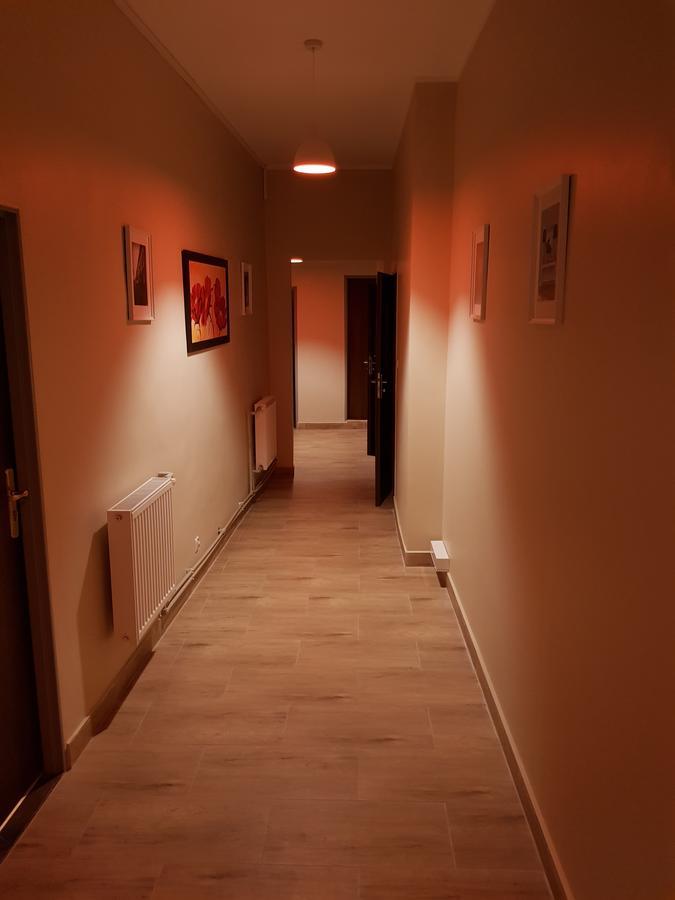 Hostel Kaktus Kraków