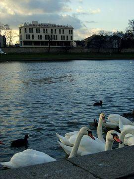 Hotel Poleski Krakow