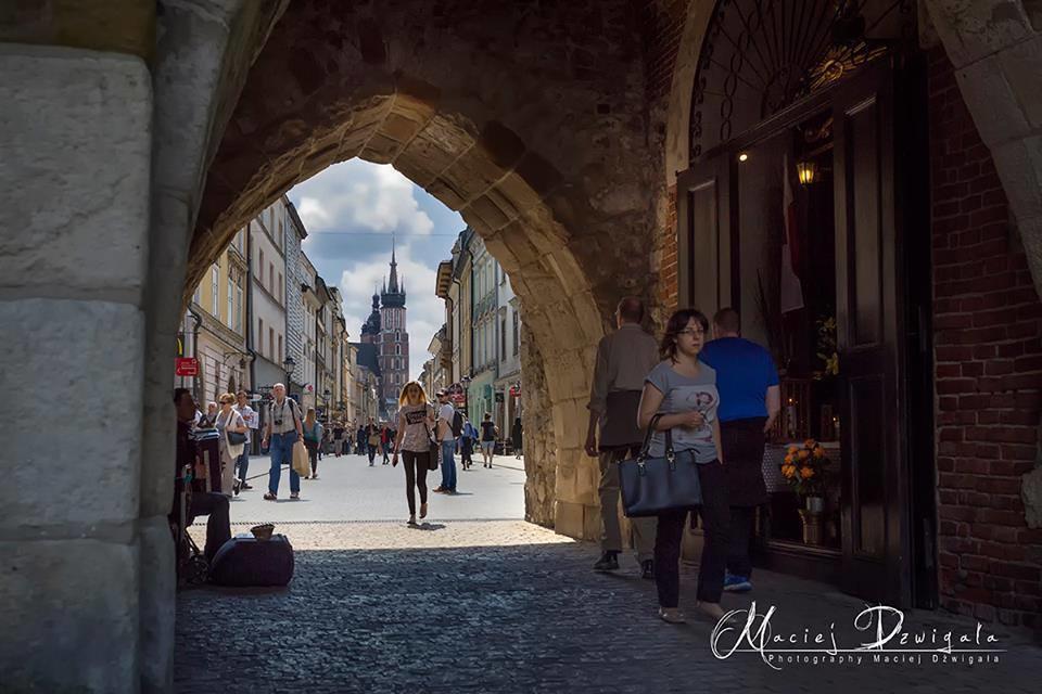 Hummus Vegan * Krakow