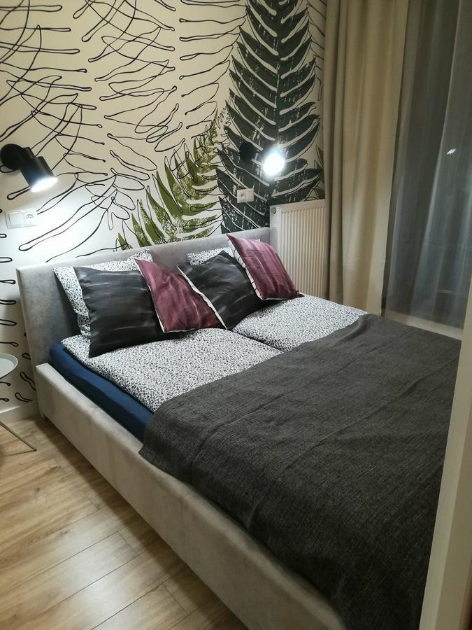 Kr Apart Kosciuszki 28 Apartament