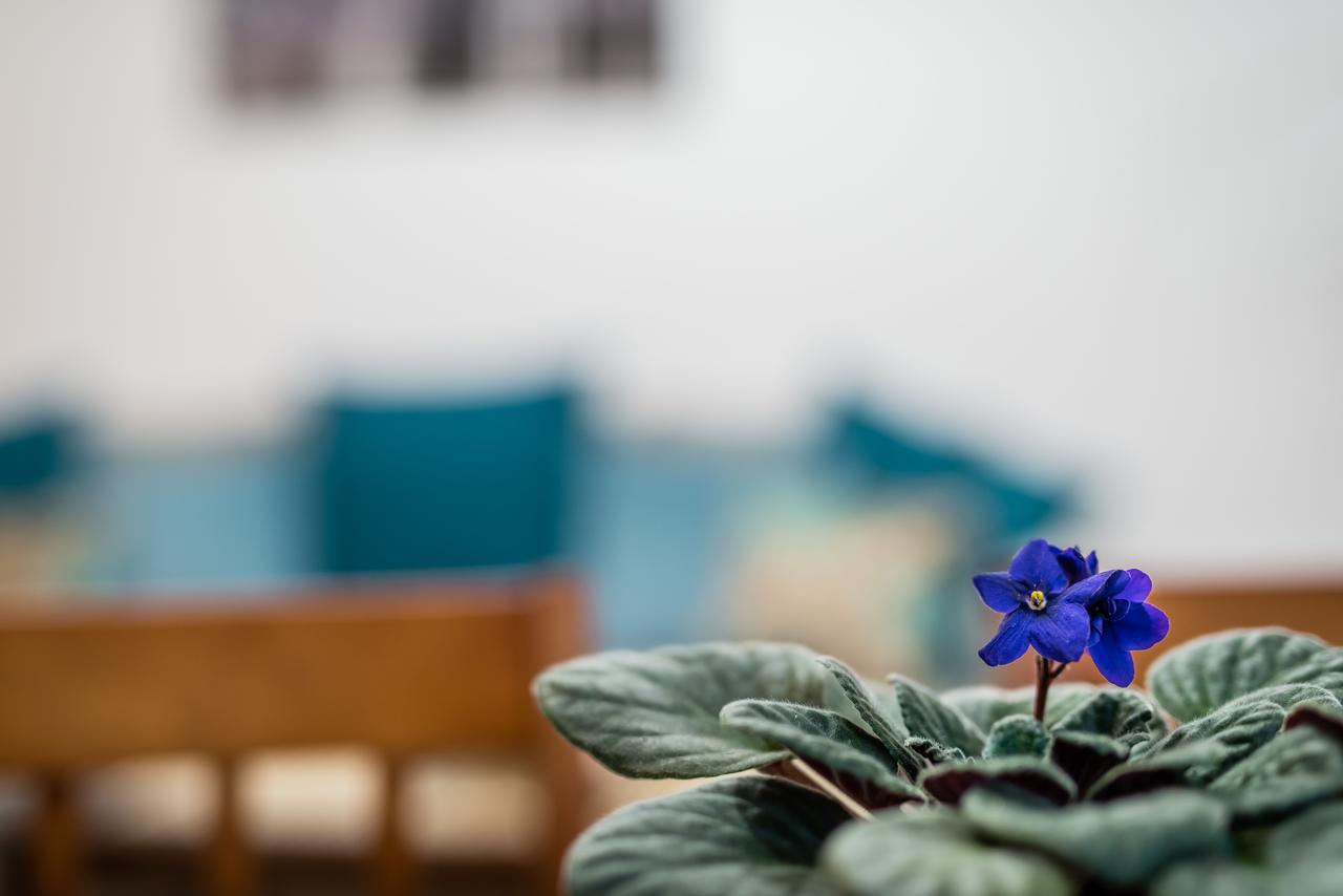 Apartment Bosacka Wawelofts Krakow