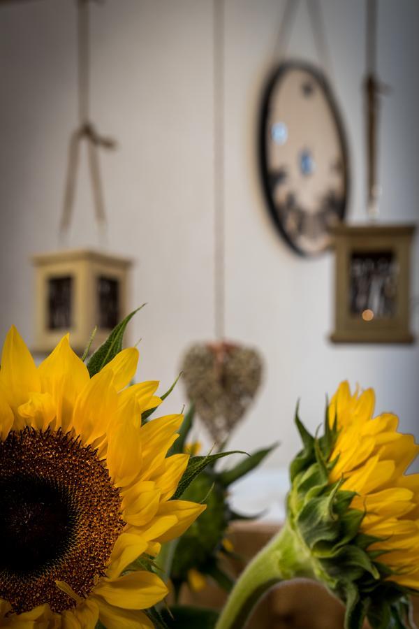 Cracow Location By Cozyplace Apartment Krakau