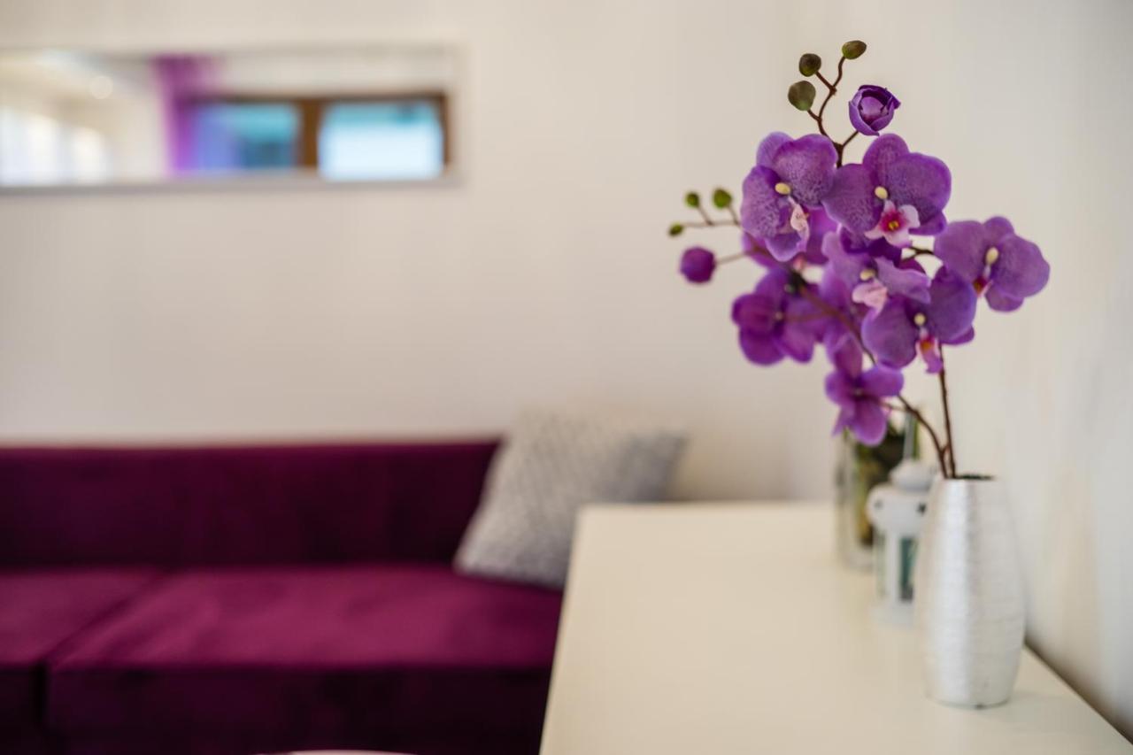 Apartment Rakowicka Wawelofts Krakow