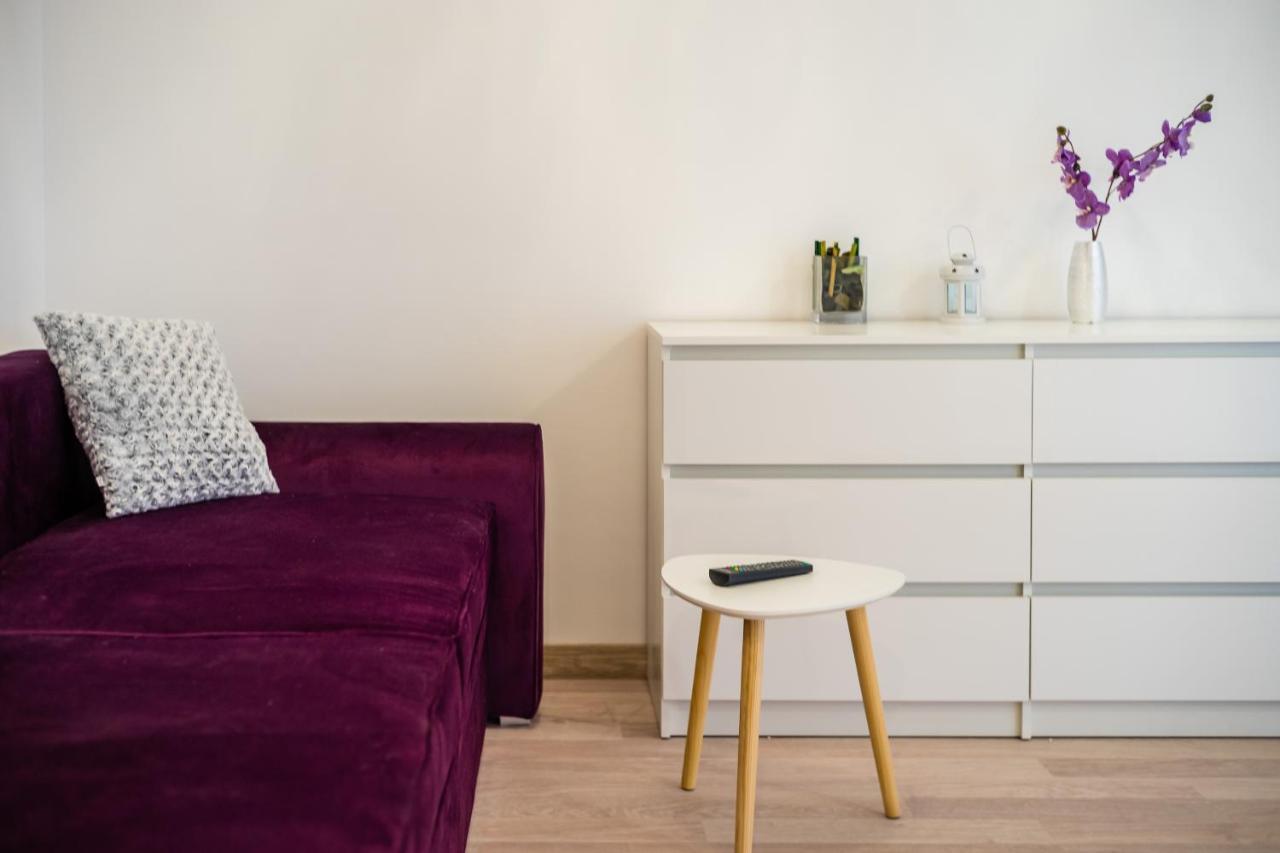 Apartment Rakowicka Wawelofts