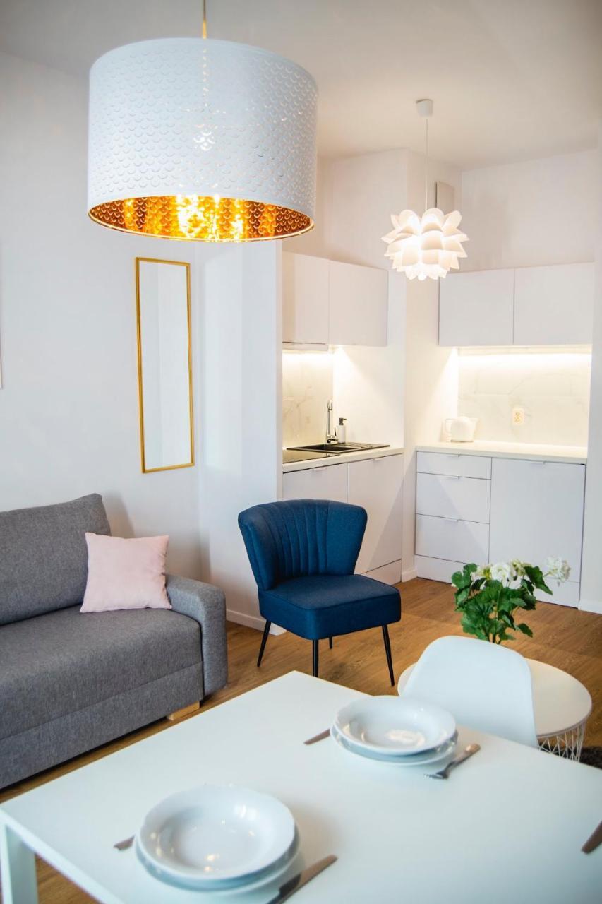 Apartment Rakowicka Wawelofts