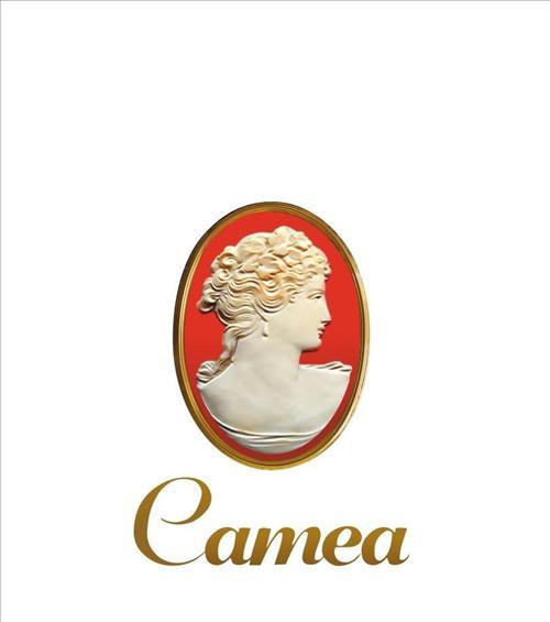Camea Aparthotel Krakow