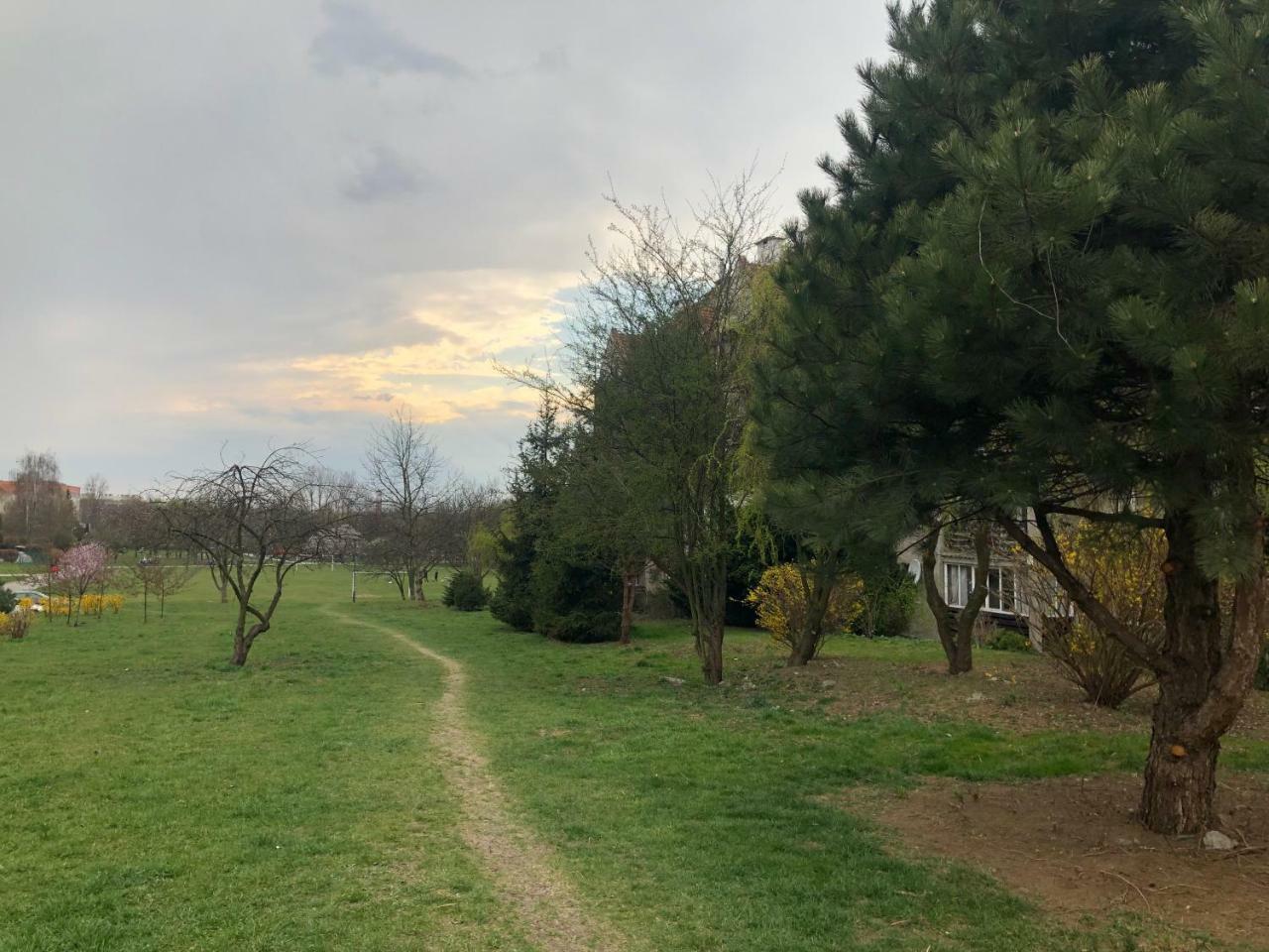 Luscinia Z 2 Sypialniami Apartament