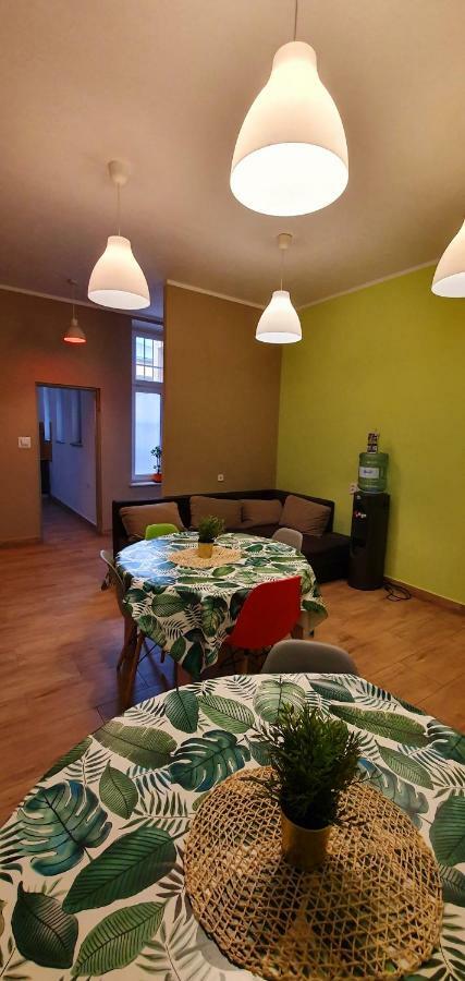 Kaktus Hostel Kraków