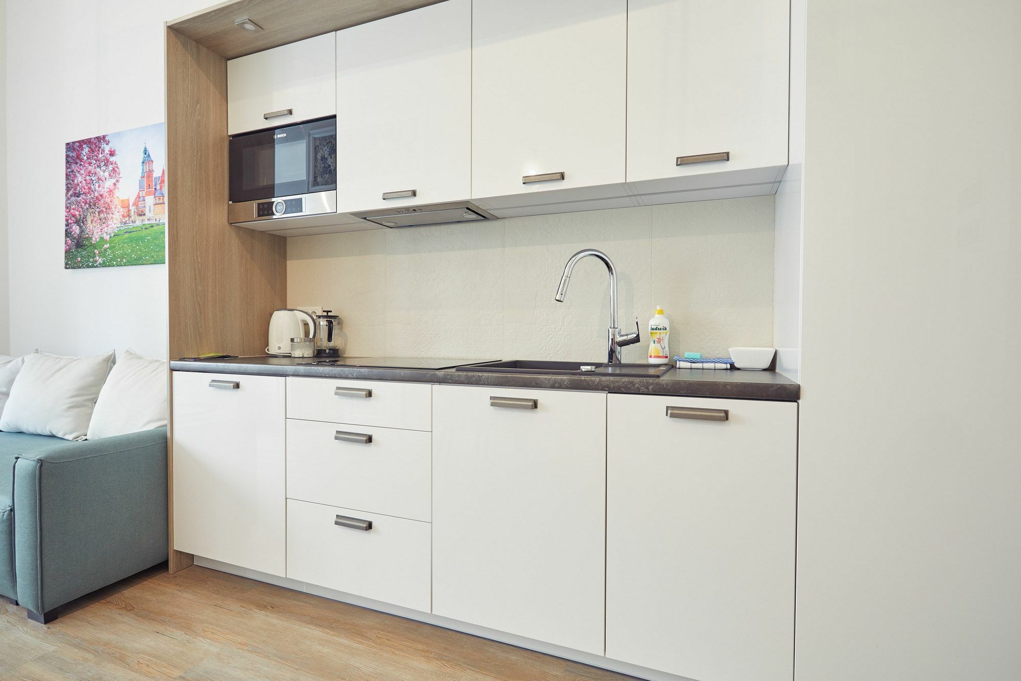 Apartment Ekoidea - Taja Krakow