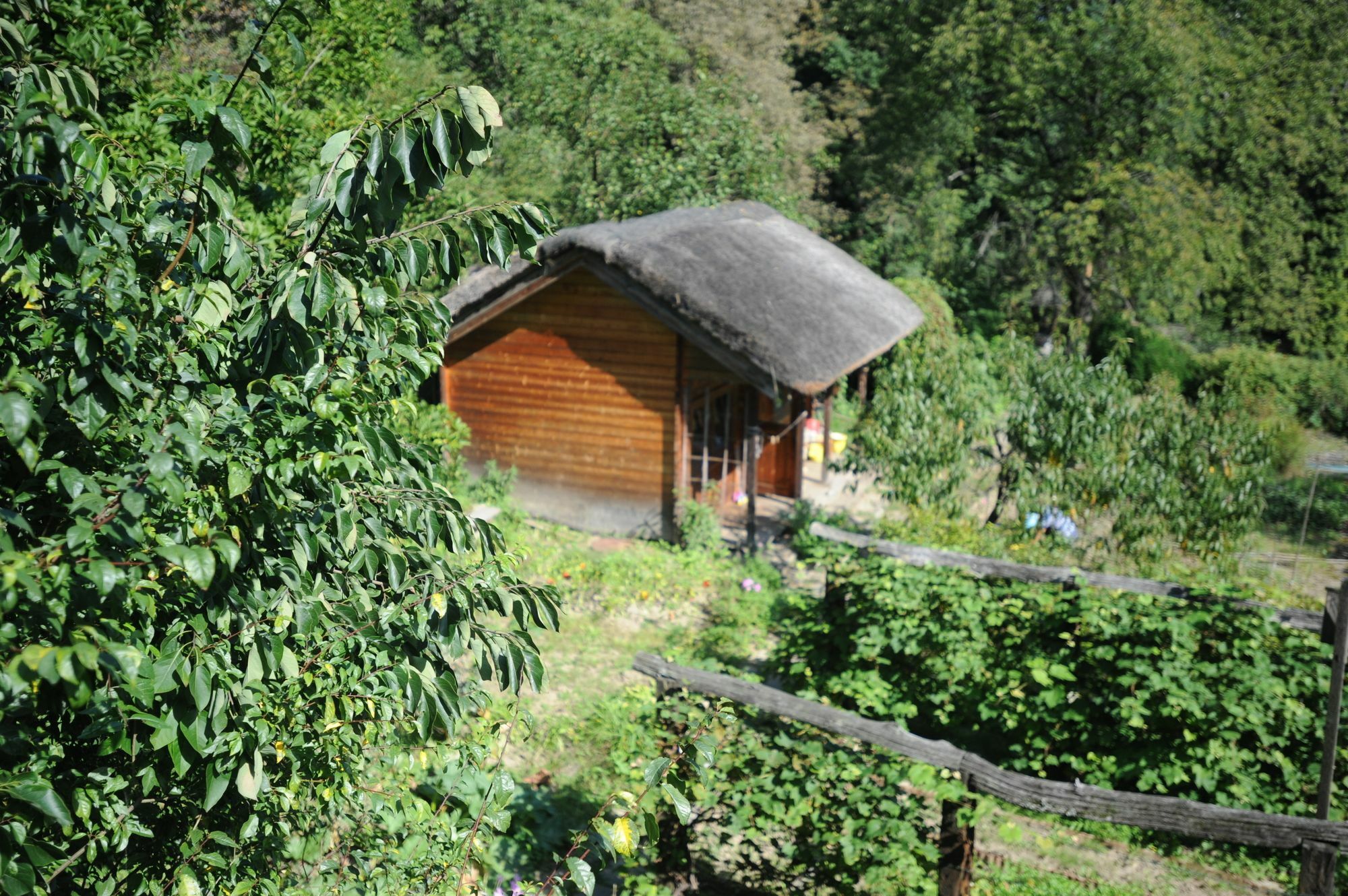 Ekosamotnia Casa de hóspedes Cracóvia