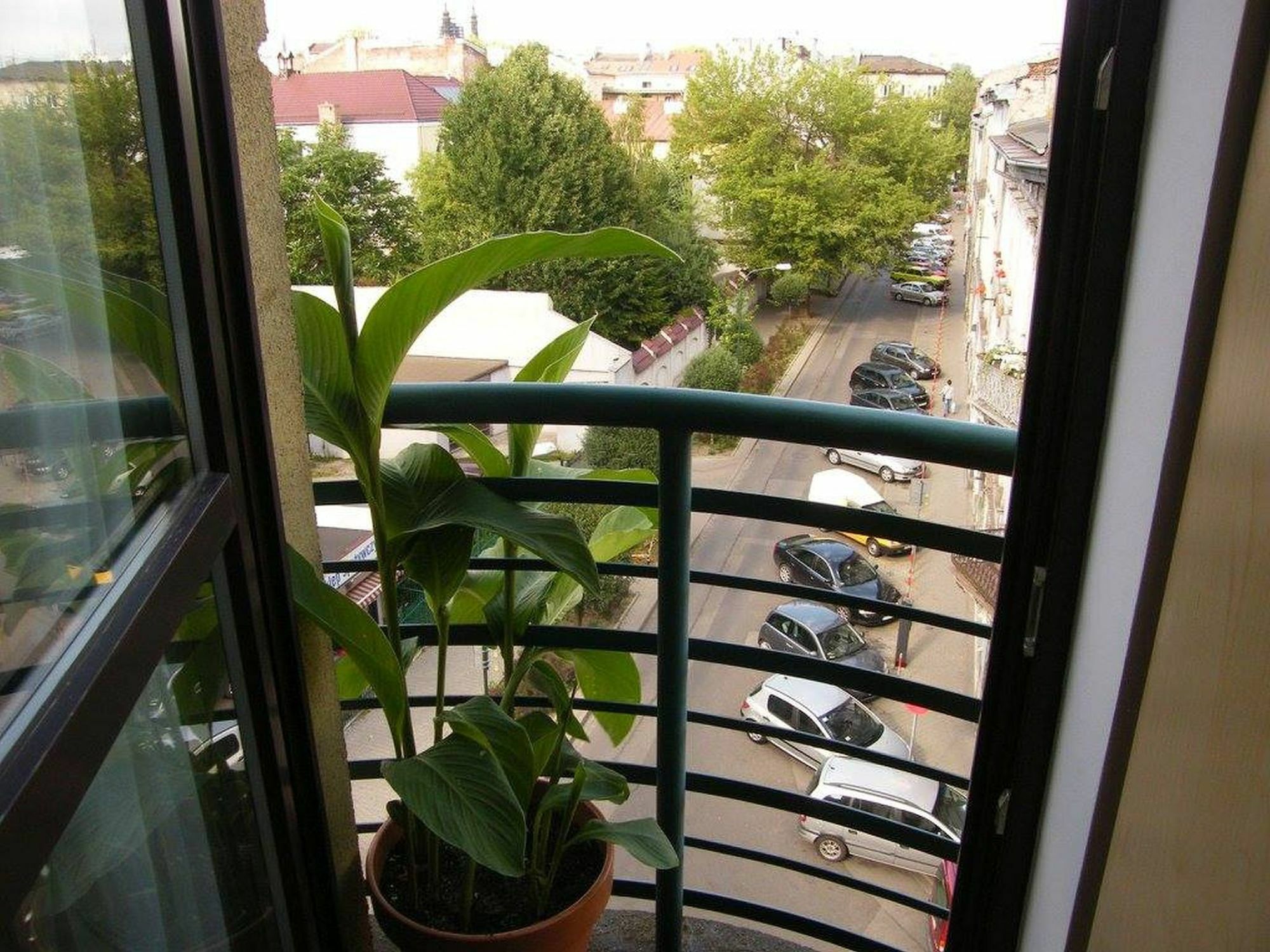 Homely Apartment's Old Town Kraków