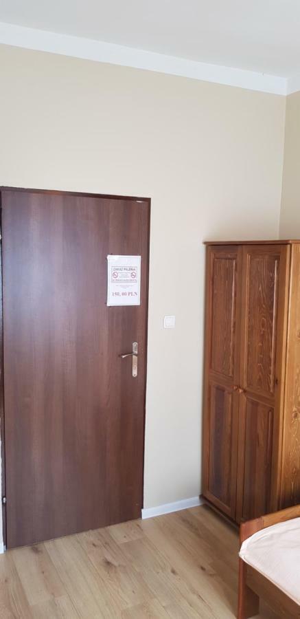 Kaktus * Kraków