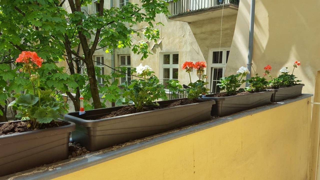 Katamaran Apartament