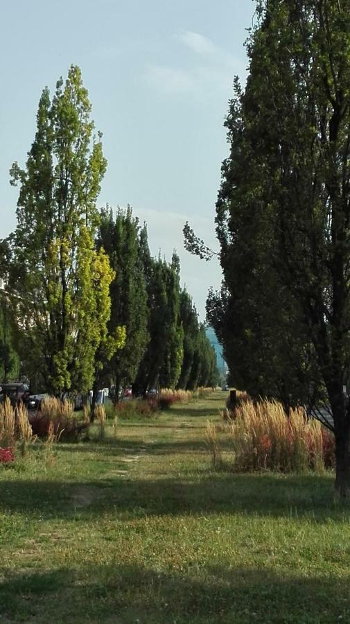 Krakowski Styl Apartament *
