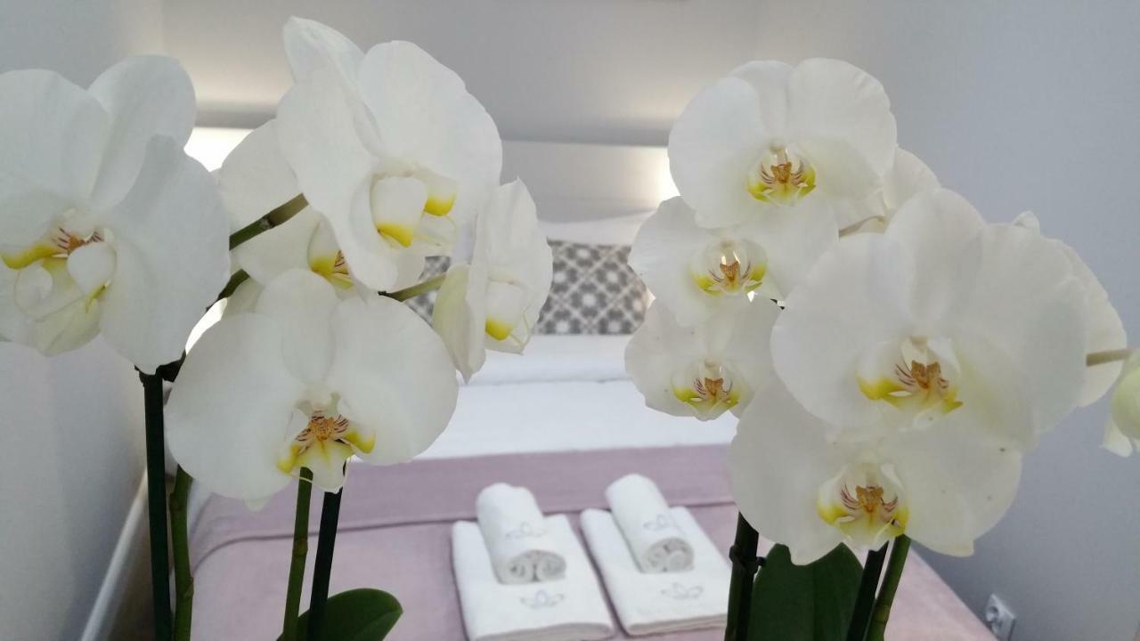 Royals Flower Apartment Krakow