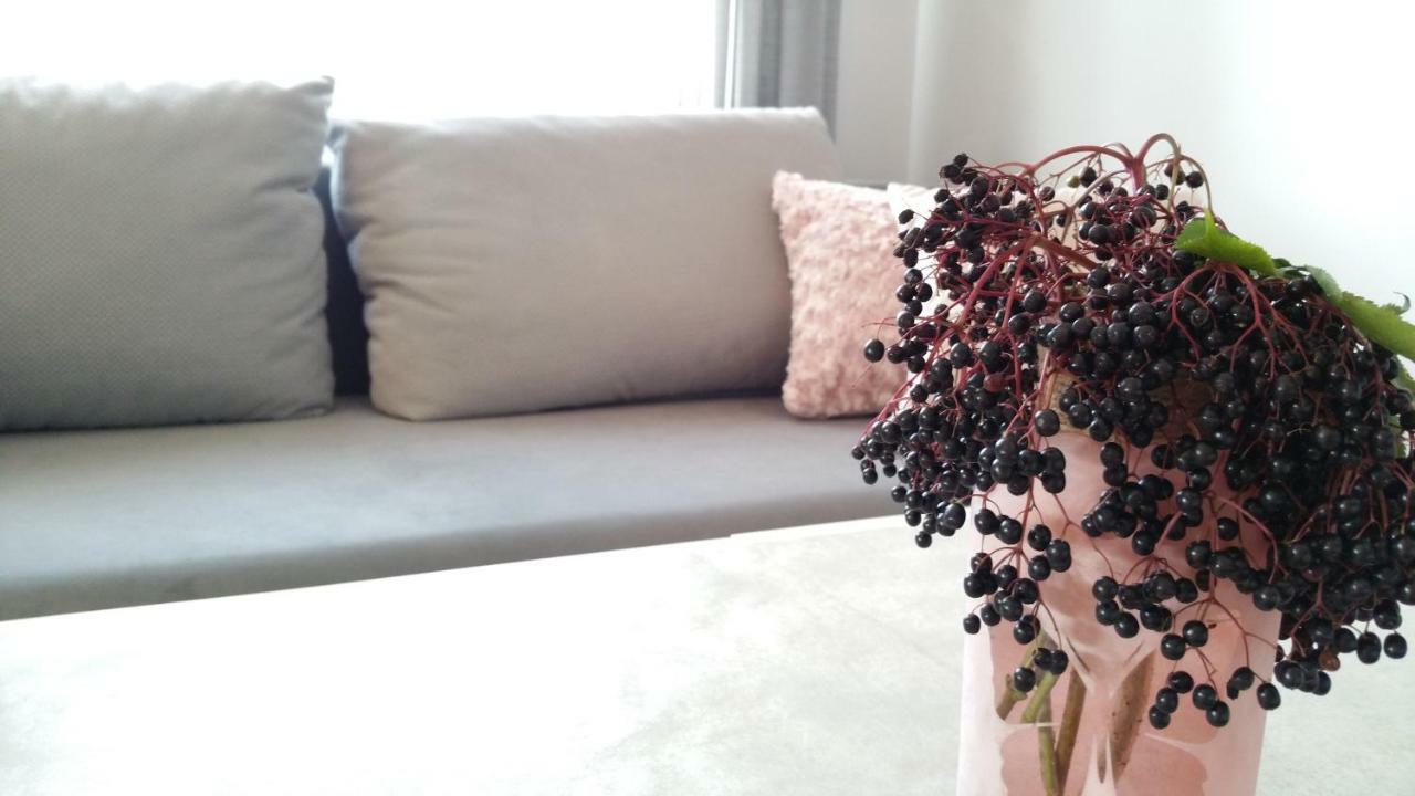 Appartement Royals Flower Iii Krakau