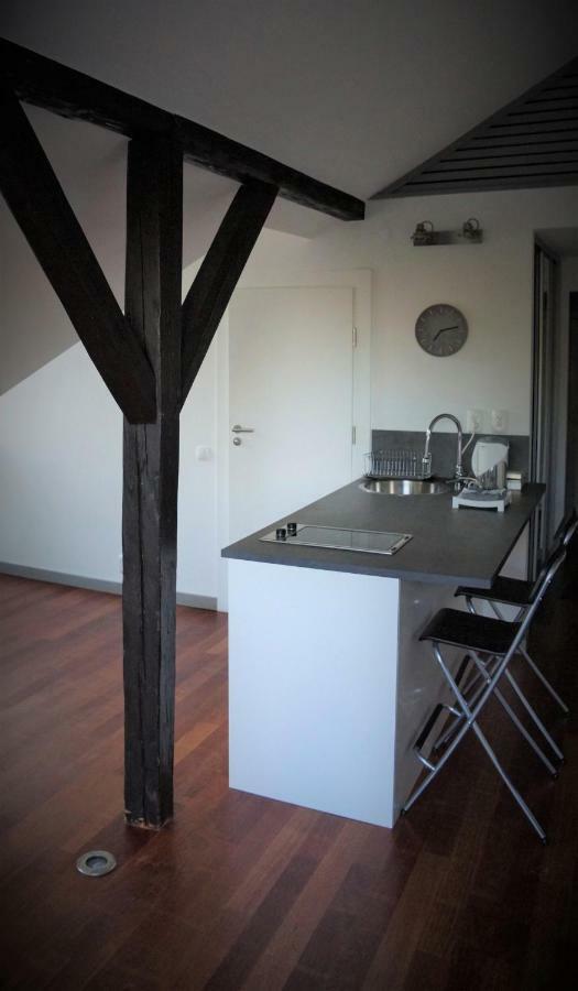 Feliciana In The Heart Of Old Town With Wawel's View Apartment