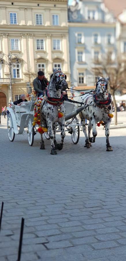Royals Flower Ii Apartment Krakau
