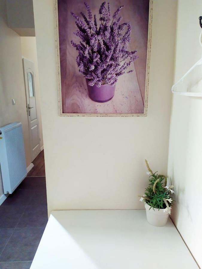 Beautiful With 1 Bedroom Main Square