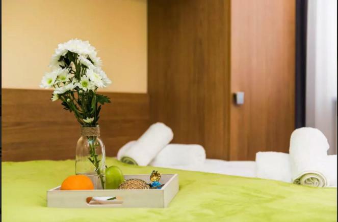 Urban Nest Apartments- Old Town Stradomska 9