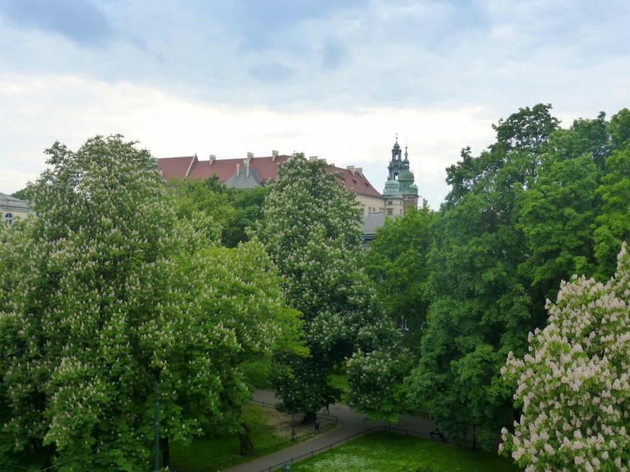 Apartament Gertrudy Belle *