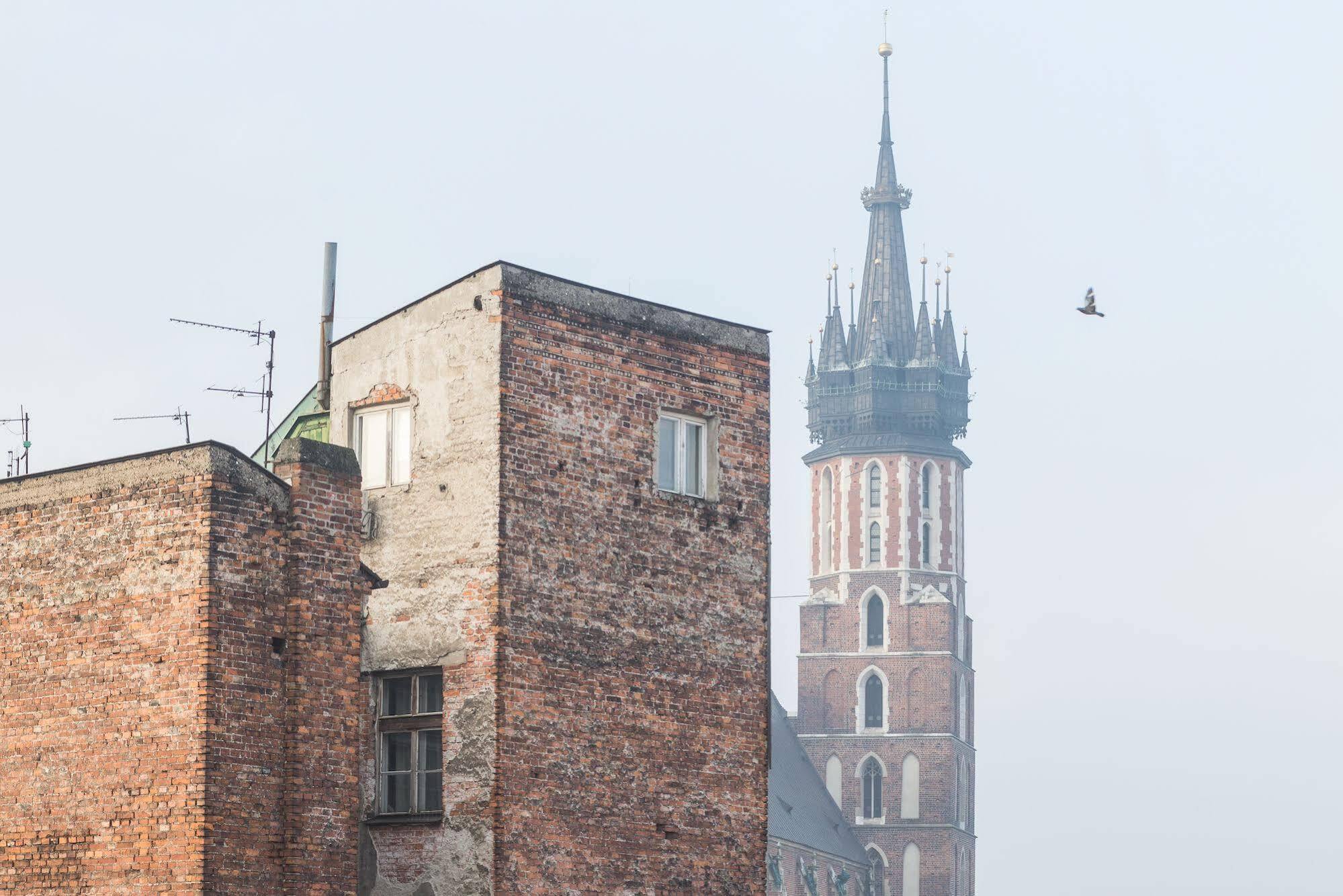Novumhouse - Tomasza Krakow